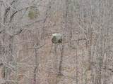 835 County Rd 460 - Photo 20