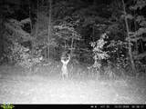 835 County Rd 460 - Photo 43