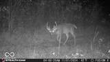 835 County Rd 460 - Photo 45