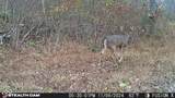 835 County Rd 460 - Photo 46