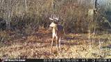 835 County Rd 460 - Photo 49