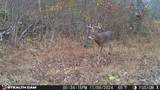 835 County Rd 460 - Photo 50