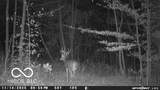 835 County Rd 460 - Photo 53
