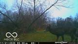 835 County Rd 460 - Photo 54