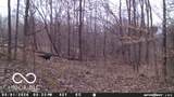 835 County Rd 460 - Photo 57