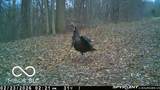 835 County Rd 460 - Photo 58