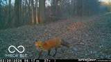 835 County Rd 460 - Photo 60