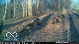 835 County Rd 460 - Photo 61