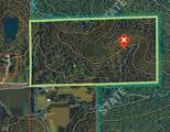 9300 Of Delaney Park Road - Photo 2