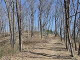 9300 Of Delaney Park Road - Photo 31
