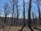 9300 Of Delaney Park Road - Photo 34