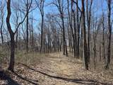 9300 Of Delaney Park Road - Photo 39