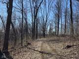 9300 Of Delaney Park Road - Photo 41