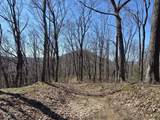 9300 Of Delaney Park Road - Photo 48