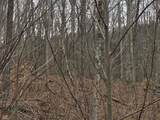 9300 Of Delaney Park Road - Photo 61