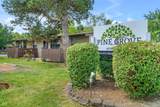 3033 P Street - Photo 30