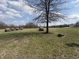 843 Ben Franklin Street - Photo 4