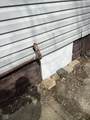 412 Oakland Avenue - Photo 4