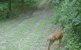 8172 Ash Road - Photo 21