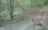 8172 Ash Road - Photo 5