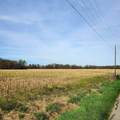 11000 County Road 450 - Photo 1