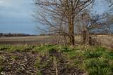 0000 County Road 50 E Road - Photo 32