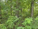 304 Cleveland Street - Photo 2