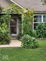 3187 Limber Pine Drive - Photo 4