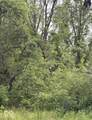 2972 Opal Street - Photo 1