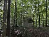 0 Buffalo Road - Photo 7