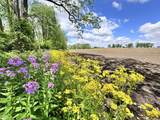 4681 350 - Photo 3
