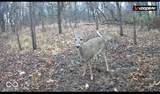 0 50 - Photo 10