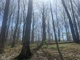 4100 Block of Lower Schooner Road - Photo 16