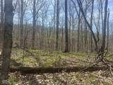 4100 Block of Lower Schooner Road - Photo 21