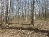 4100 Block of Lower Schooner Road - Photo 10
