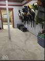 2025 Russell Road - Photo 4