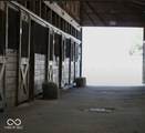 2025 Russell Road - Photo 6