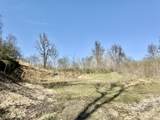 0 Blue Bluff Road - Photo 13