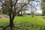 603 Harrison Street - Photo 2