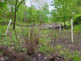 3147 260 - Photo 29