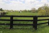 4619 State Road 48 - Photo 14