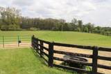 4619 State Road 48 - Photo 16