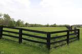 4619 State Road 48 - Photo 9