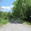 11265 Arnold Miller Road - Photo 2