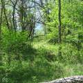 11265 Arnold Miller Road - Photo 11