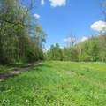 11265 Arnold Miller Road - Photo 16