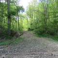 11265 Arnold Miller Road - Photo 17