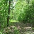 11265 Arnold Miller Road - Photo 19