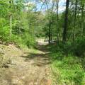 11265 Arnold Miller Road - Photo 22