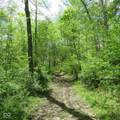 11265 Arnold Miller Road - Photo 24